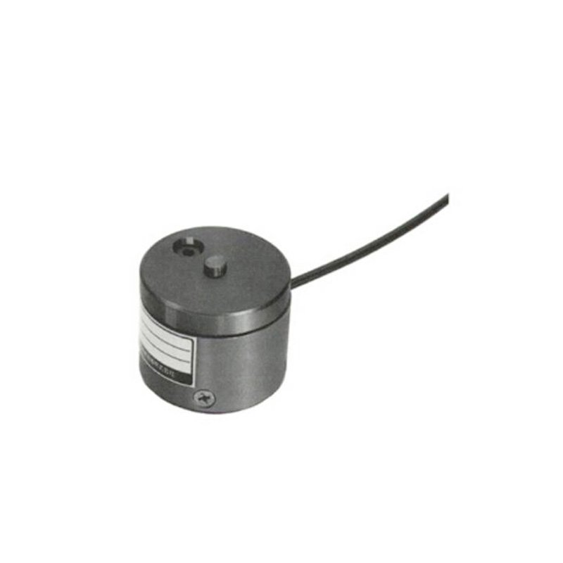 MODEL:LCM